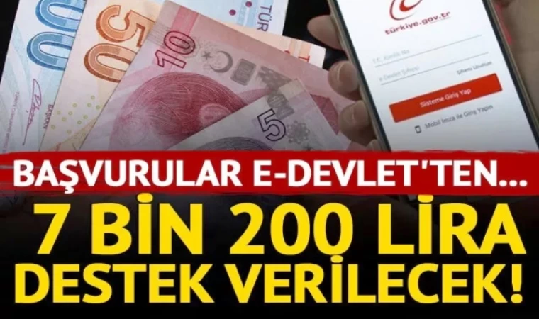 7 bin 200 lira destek! Başvurular e-devlet'ten...