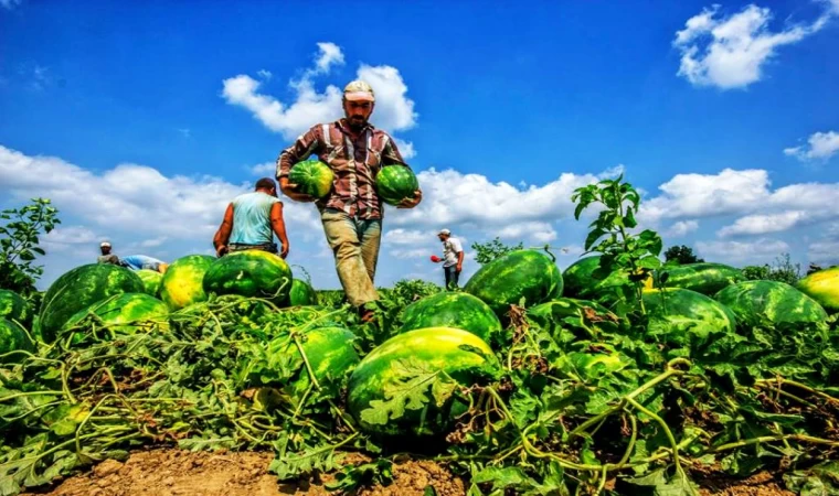 Çiftçiyi perişan ,Yıllık artış yüzde 134,96 oldu.