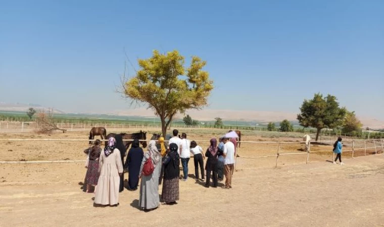 Ruh Sağlığı Hastaları Sosyal Hayata Adepte Ediliyor