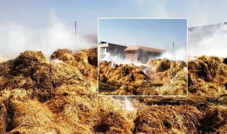 Urfa’da Saman Yüklü TIR Yandı