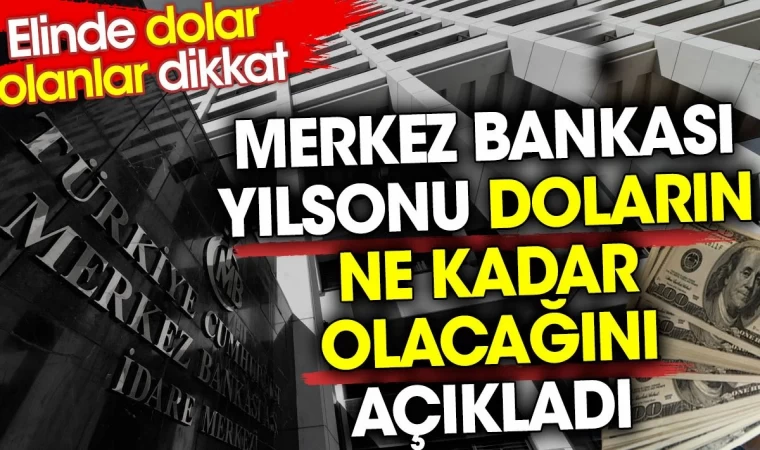 MB yılsonu doların ne kadar olacağını açıkladı. Elinde dolar olanlar dikkat