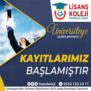 lisans koleji