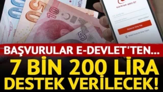 7 bin 200 lira destek! Başvurular e-devlet'ten...