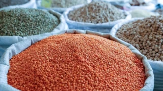 Urfa’dan Türkiye’ye Dağıtılacak !
