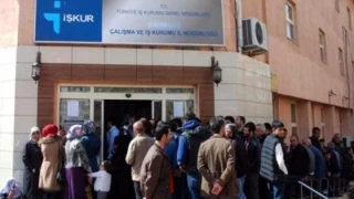 Urfa’ya Kaç Kontenjan verildi?
