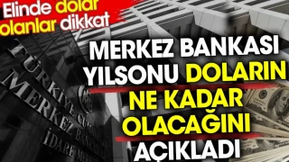 MB yılsonu doların ne kadar olacağını açıkladı. Elinde dolar olanlar dikkat